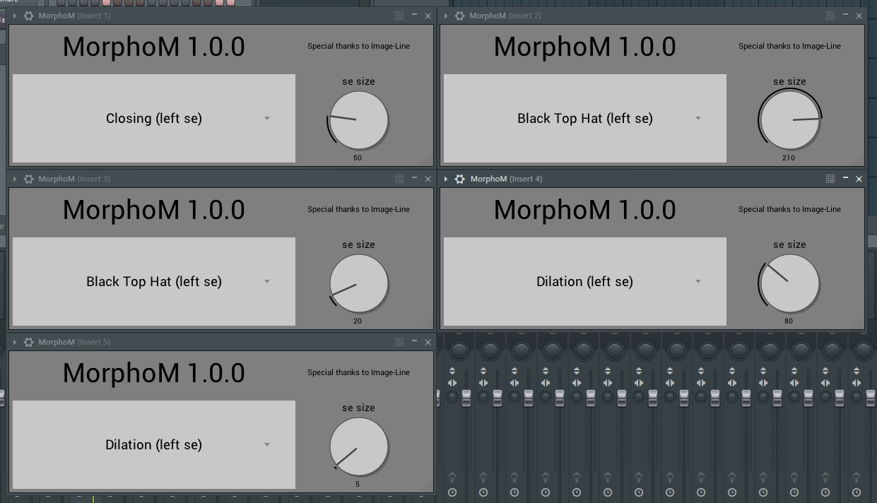 MorphoM screenshot